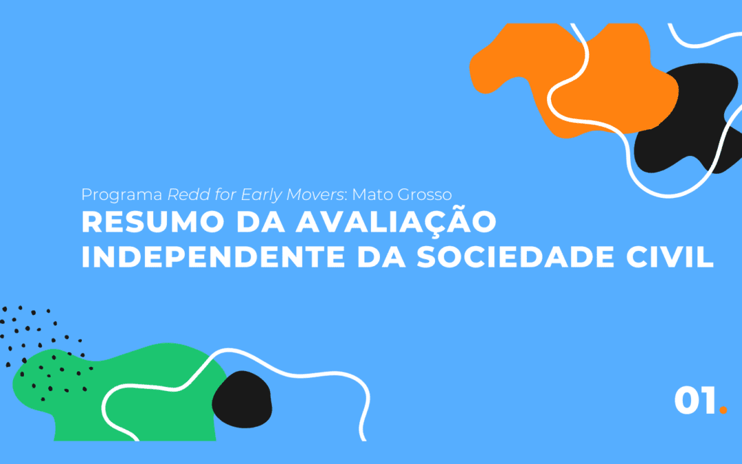 Avaliação Independente REM-MT | Resumo