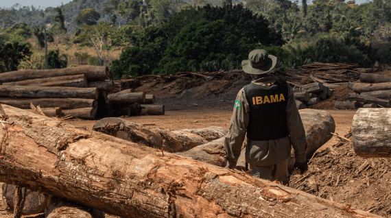 #ObservaSeuVoto: Campanhas passam a lupa no “passado” de candidatos de MT