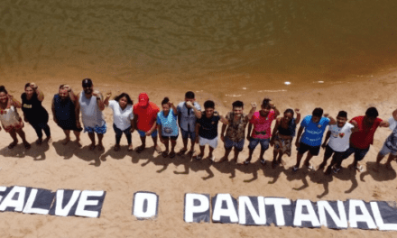 Pantanal pede socorro na COP27: maior área alagada do mundo já perdeu 74% da superfície de água