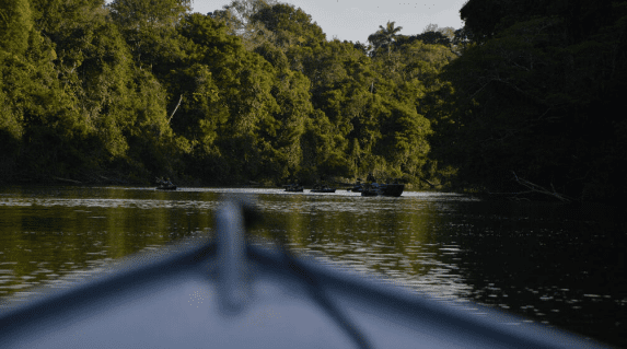 Audiência discute impactos de PEC que inviabiliza criação de novas unidades de conservação em Mato Grosso