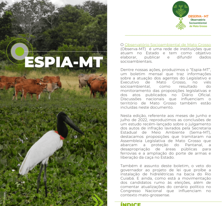 Espia-MT nº 04 junho/julho 2022