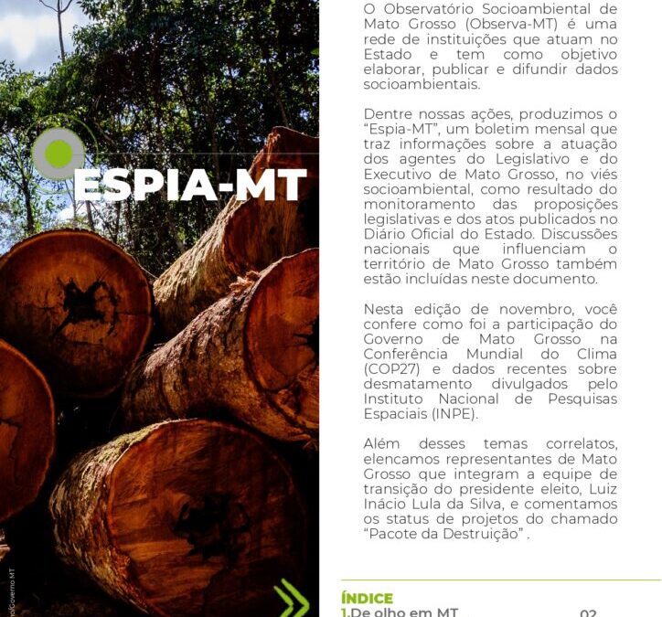 Espia-MT nº 08 novembro 2022