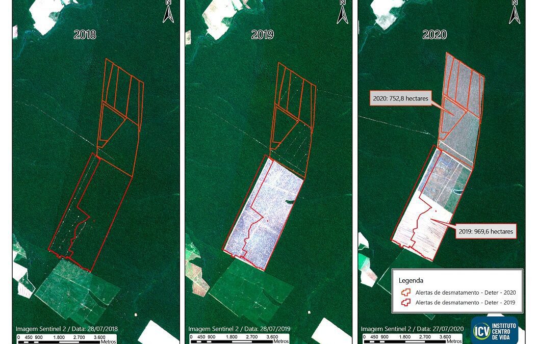 Mato Grosso tem aumento de 31% em alertas de desmatamento em 2020