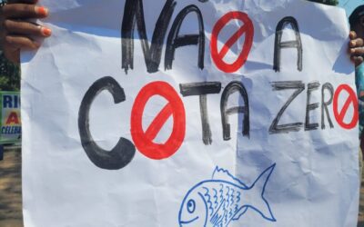 Lista das 12 espécies de peixes proibidas não resolve inconstitucionalidade do Cota Zero; entenda os motivos