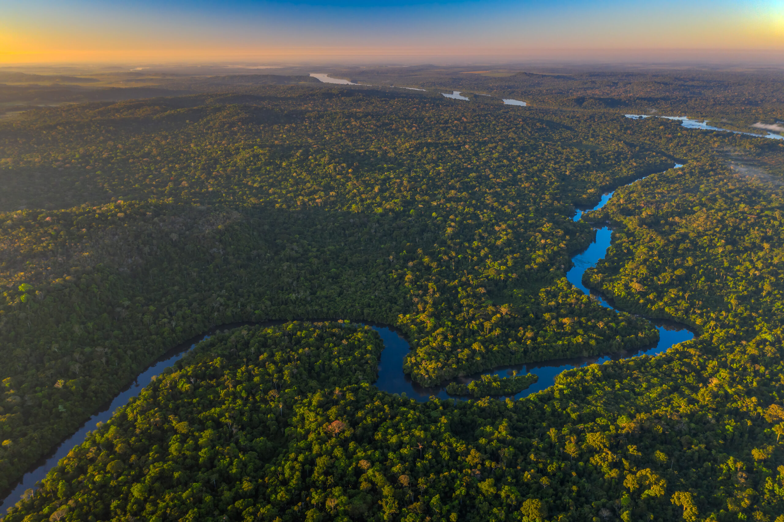 TJMT derruba pedido do Ministério Público e UC na Amazônia mato-grossense corre risco