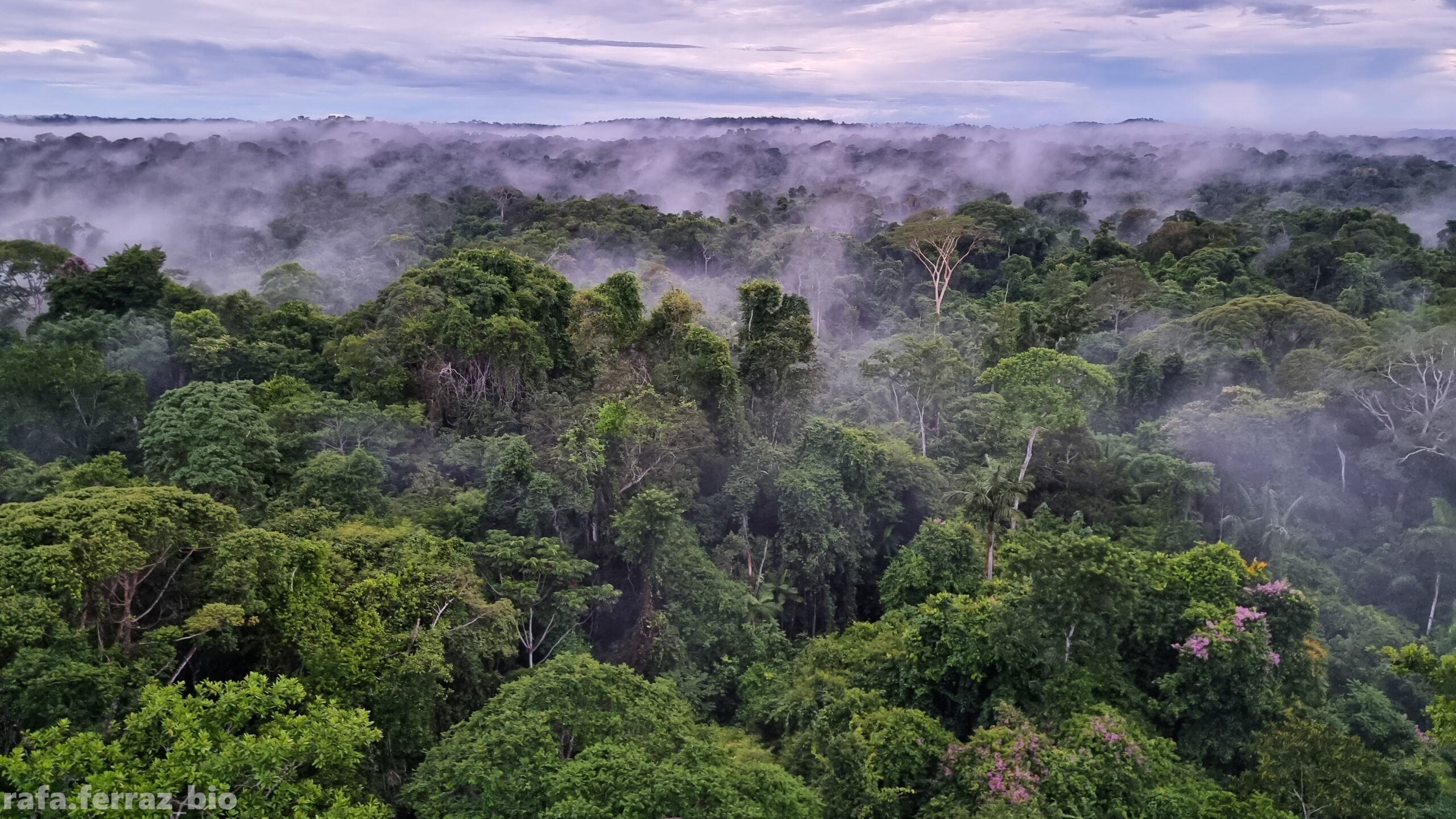 Ao apontar ilegalidade de autora de ação, AGU pede ao TJ que anule processo de extinção do Parque Cristalino II