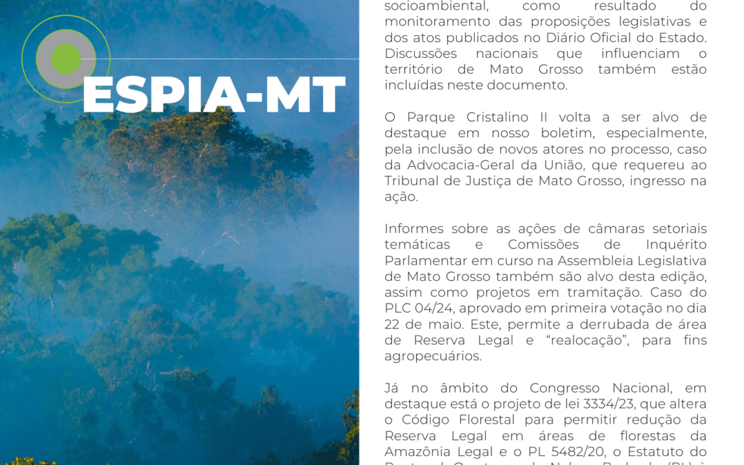 Espia-MT nº 25 maio 2024