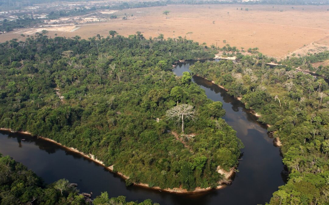 ALMT aprova em 1ª votação, PLC que libera derrubada de área protegida para a agropecuária