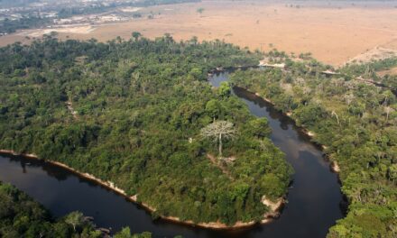 ALMT aprova em 1ª votação, PLC que libera derrubada de área protegida para a agropecuária