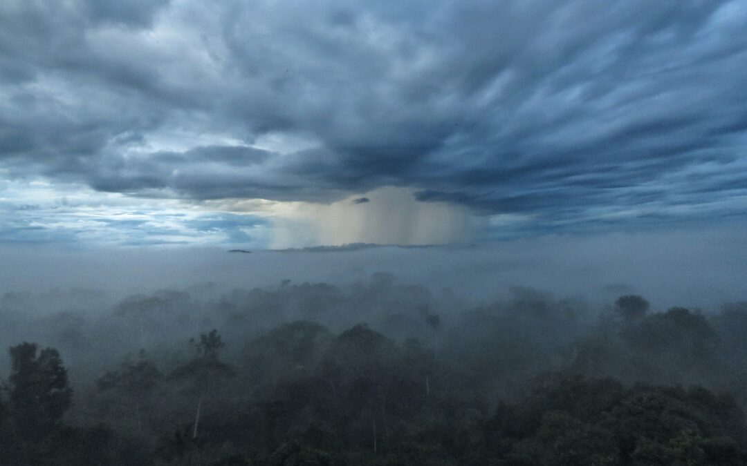 Decisão da justiça de MT em anular criação de parque pode agravar crise climática, alerta carta na “Science”