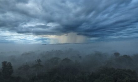 Decisão da justiça de MT em anular criação de parque pode agravar crise climática, alerta carta na “Science”