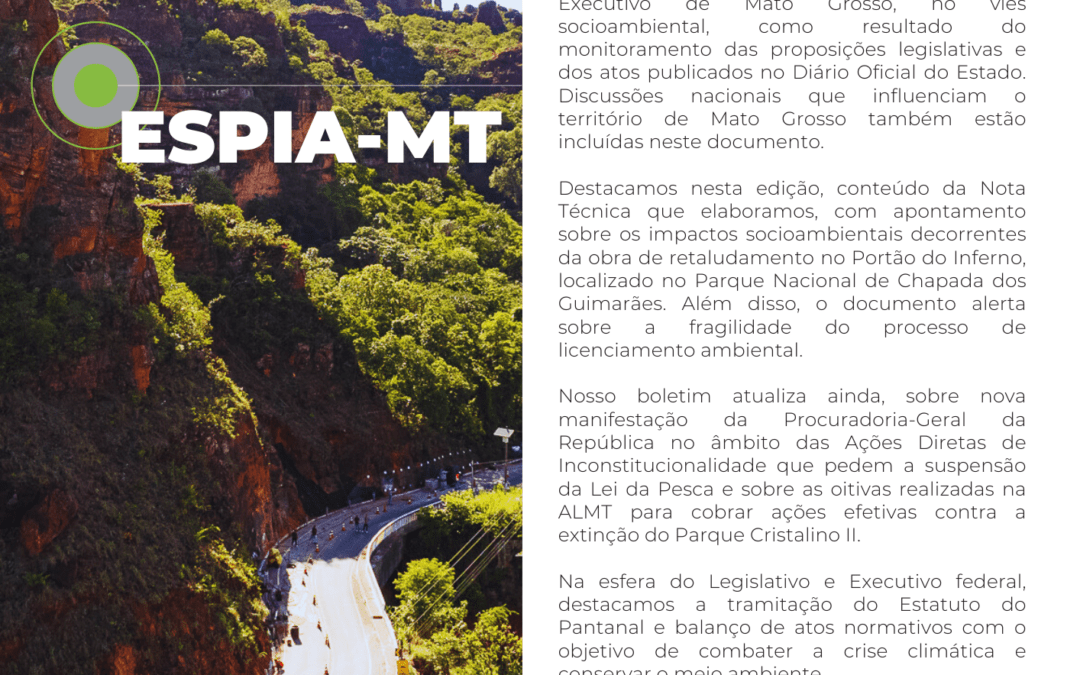 Espia-MT nº 26 junho 2024