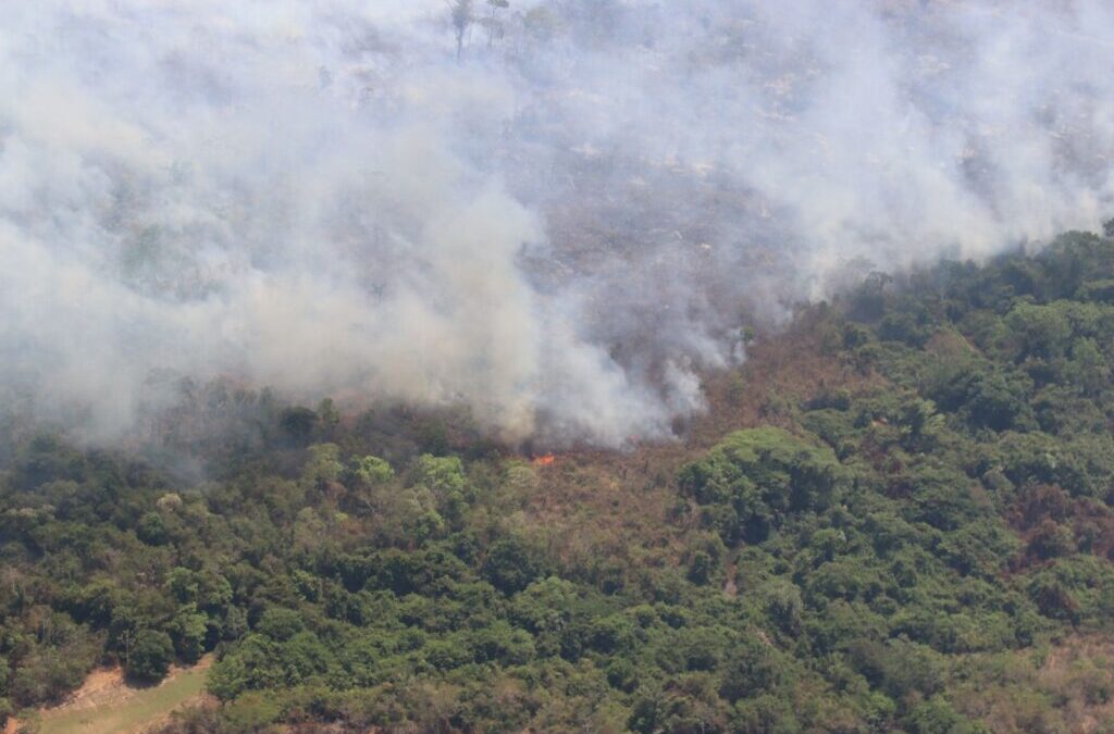 Alta de 40% nas queimadas e inércia do Estado marcam o Dia da Amazônia no Parque Estadual Cristalino II (MT); organizações reagem