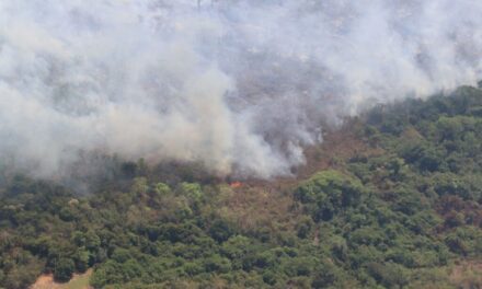 Alta de 40% nas queimadas e inércia do Estado marcam o Dia da Amazônia no Parque Estadual Cristalino II (MT); organizações reagem