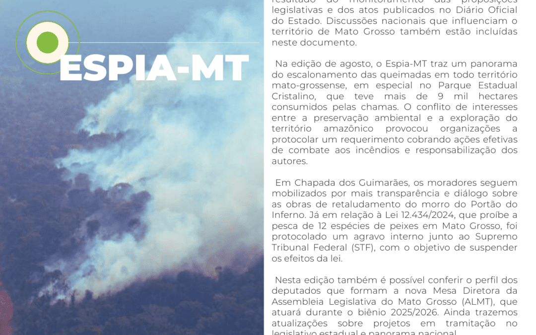 Espia-MT nº 28 Agosto 2024