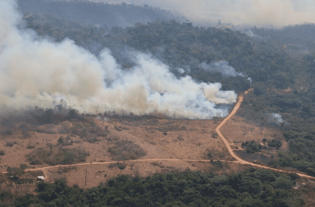 Governo de MT é convocado pelo STF para responder sobre ações de combate a incêndios; confira lista de perguntas