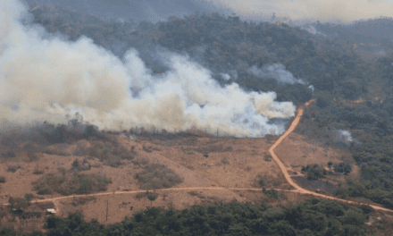 Governo de MT é convocado pelo STF para responder sobre ações de combate a incêndios; confira lista de perguntas