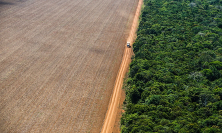 Legalizar o ilegal: projeto quase aprovado em Mato Grosso propõe aumentar áreas de Cerrado, favorecendo o desmatamento