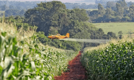 Organizações nacionais lançam abaixo-assinado contra lei que amplia o uso de agrotóxicos em Mato Grosso