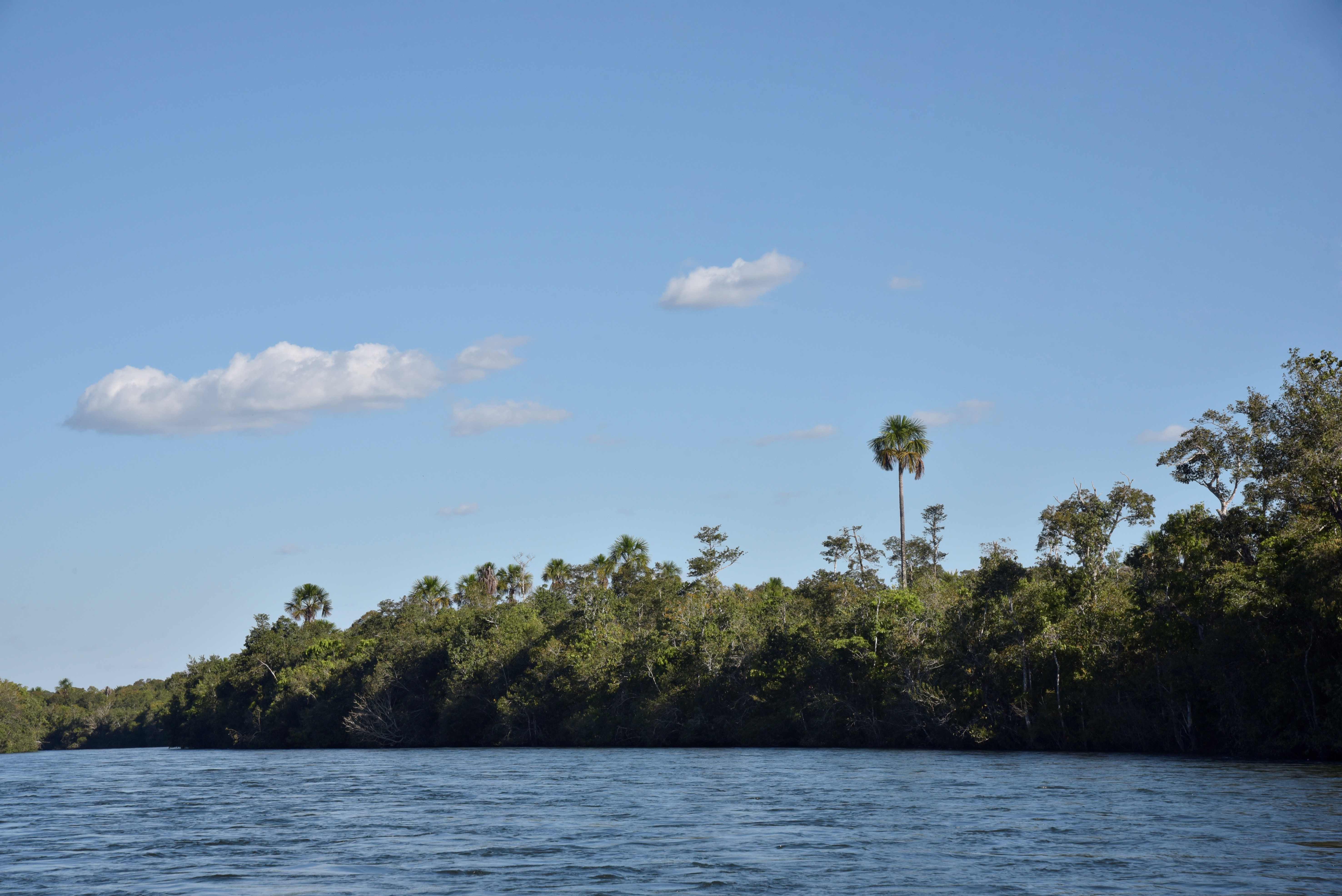Movimento indígena e organizações refutam falas do Governo de Mato Grosso sobre territórios homologados